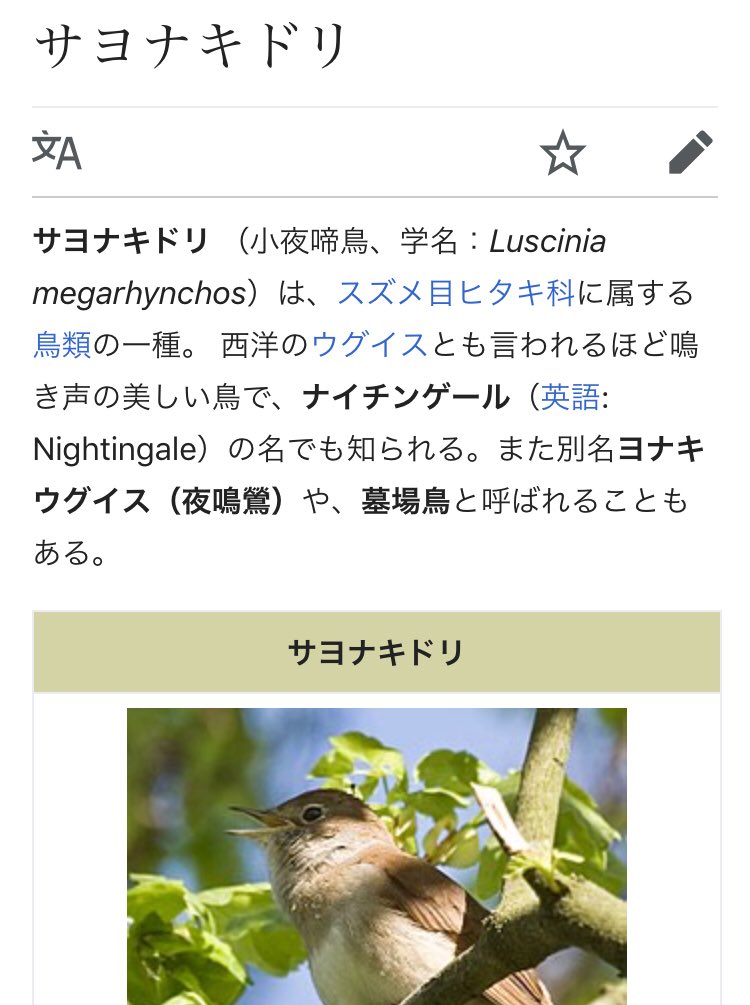 とり ナイチンゲールって鳥の名前なのね