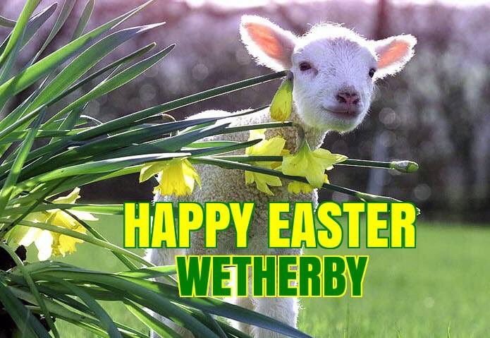 Happy Easter 🐣 #Wetherby