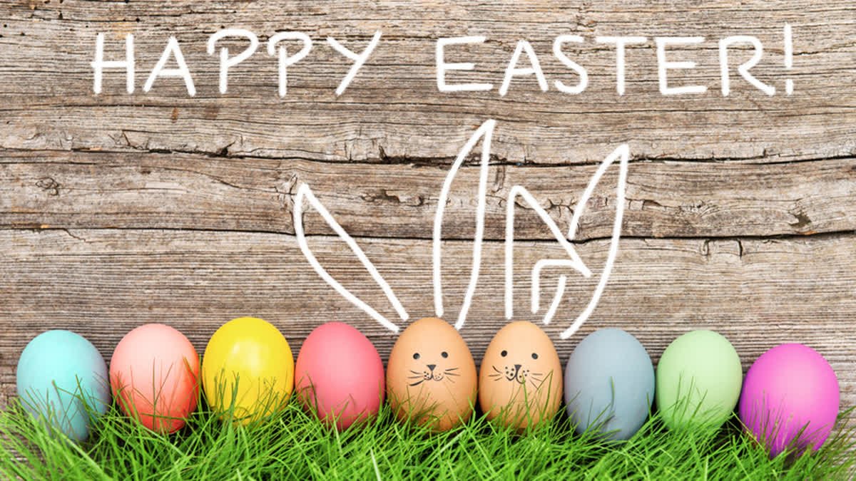 SKRATKZ's tweet image. 🐰🥚🐰🥚🐰 #skratkz #easter #happyeaster