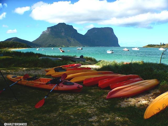 HarleybirdC's tweet photo. Ready for a big morning out on the water
#lordhoweislandtourism #lordhoweisland #padiscubadiver https://t.co/fb7FLnwCDq