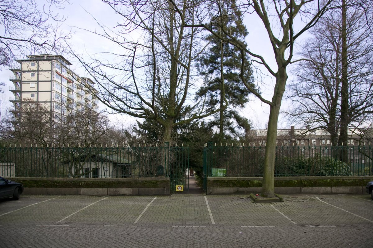 'Hortus Botanicus, Cederstraat'... Speciaal Paasgedicht van Manuel Kneepkens vanuit stemmig #Kralingen... stadslog.nl/gastbijdrage/h… #Rotterdam <a href="/kc_rdam/">Kralingen-Crooswijk</a> <a href="/cralinghen/">Kralingen</a> <a href="/KralingenWest/">Kralingen West</a>