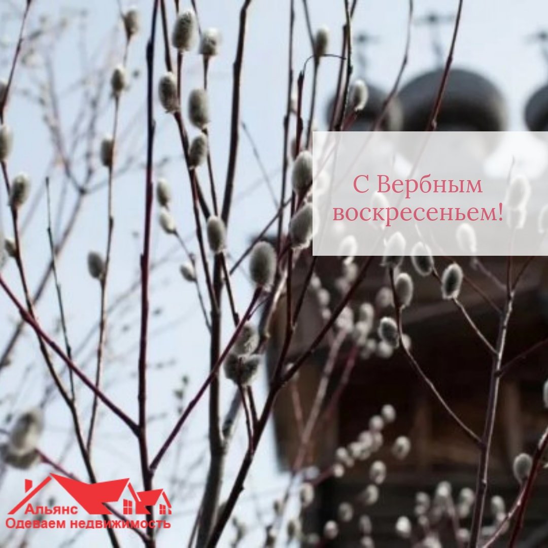 alianceryazan's tweet photo. С Верным Воскресеньем! Сделайте паузу в сумасшедшем ритме своей жизни и проведите время с близкими!
#вербноевоскресенье #спраздником #рязань #рязаньсити #рзн #рзн62 #рзнсити #rzn #ryazan #ryazancity #russia #russia2019 https://t.co/qHtqMj6Yt3