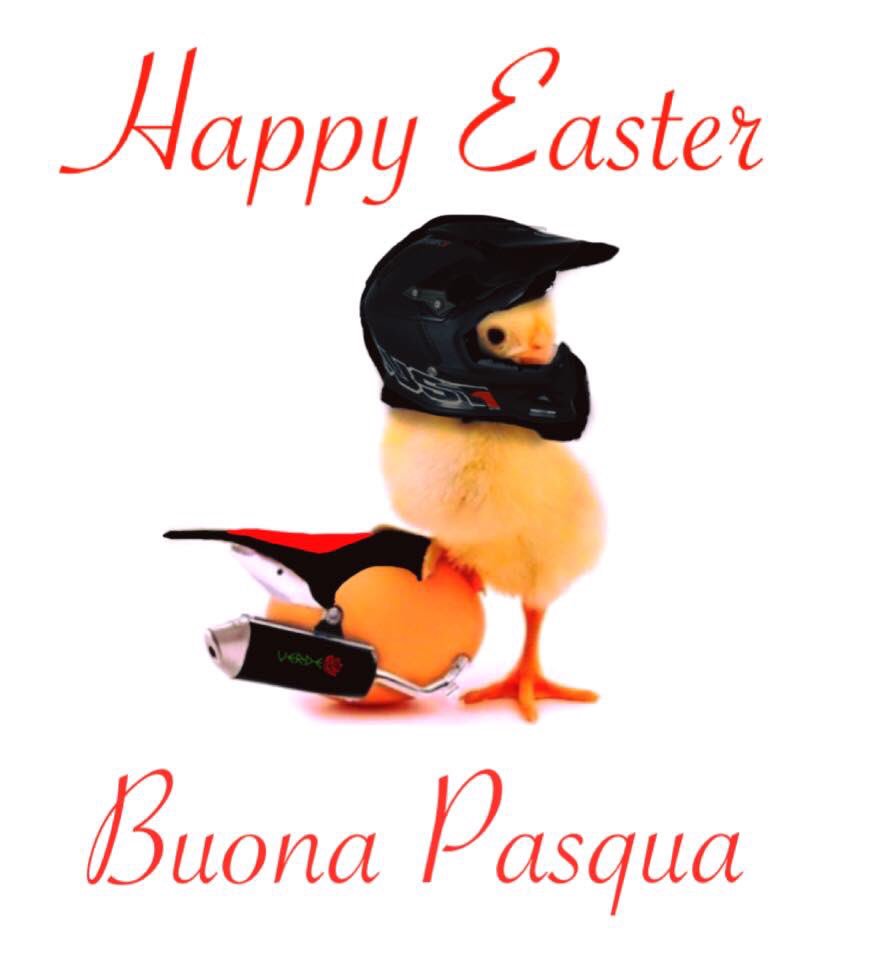 MaxVerderosa's tweet photo. 🐣🐥 https://t.co/osch2tuUZY
