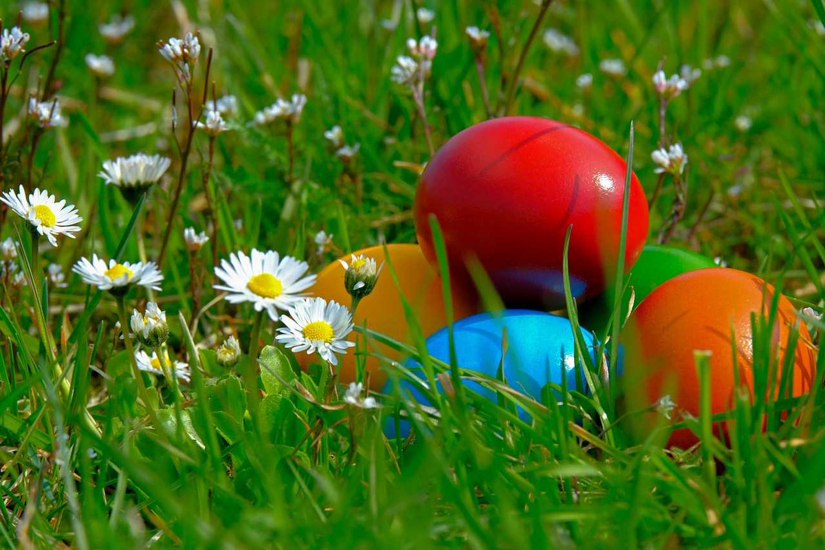Wishing you all a Happy Easter, from everyone at Ecovision!!