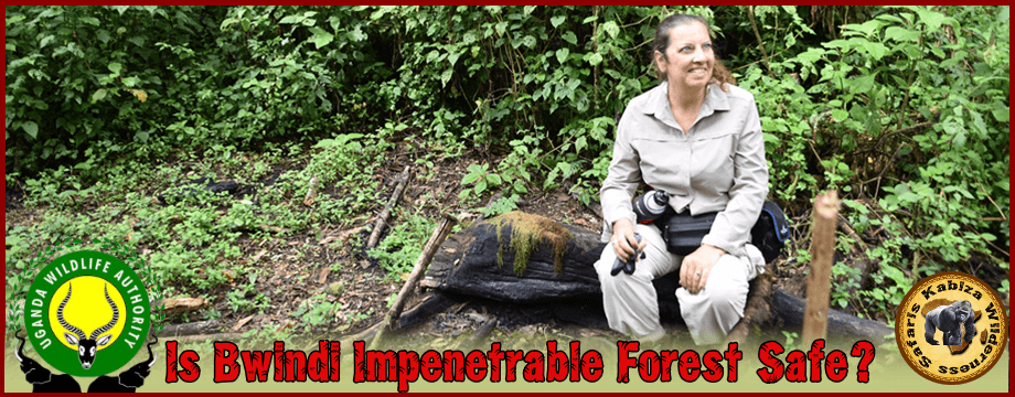 Is it SAFE to visit Bwindi Impenetrable Forest? The No-Spin Reality kabiza.com/kabiza-wildern…