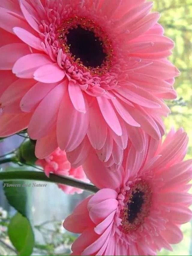 WorldMusics1's tweet photo. Don't let the grass grow under your feet ...

Have a blessed Easter Sunday! ...

https://t.co/N5XR7NboK2
#EasterSunday #HappySunday https://t.co/82xENhNyjb