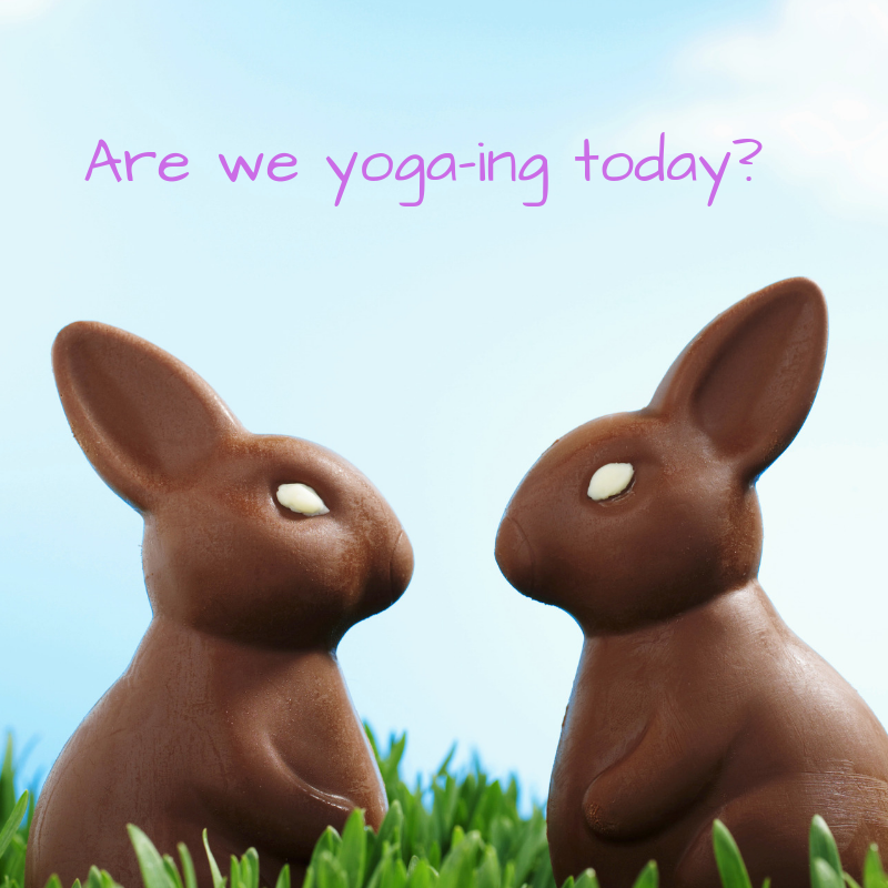 ViewStAndrews's tweet photo. Chocolate and yoga! #theviewstudio #yoga #easter #chocolatebunnies #standrews #fife # https://t.co/Kk4SouzN8A