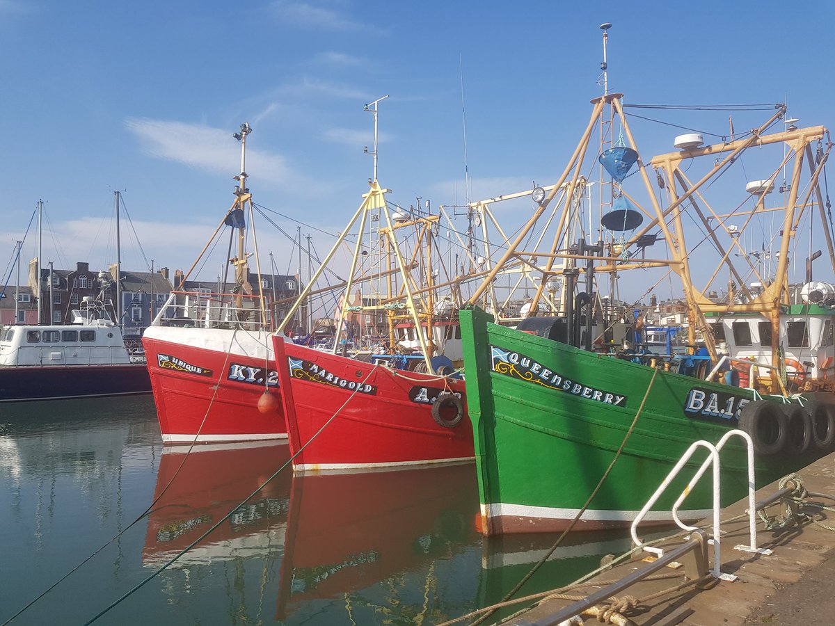 SibleyCollette's tweet photo. Arbroath harbour #Scotland #Easterweekend https://t.co/jwtN6wvXiJ