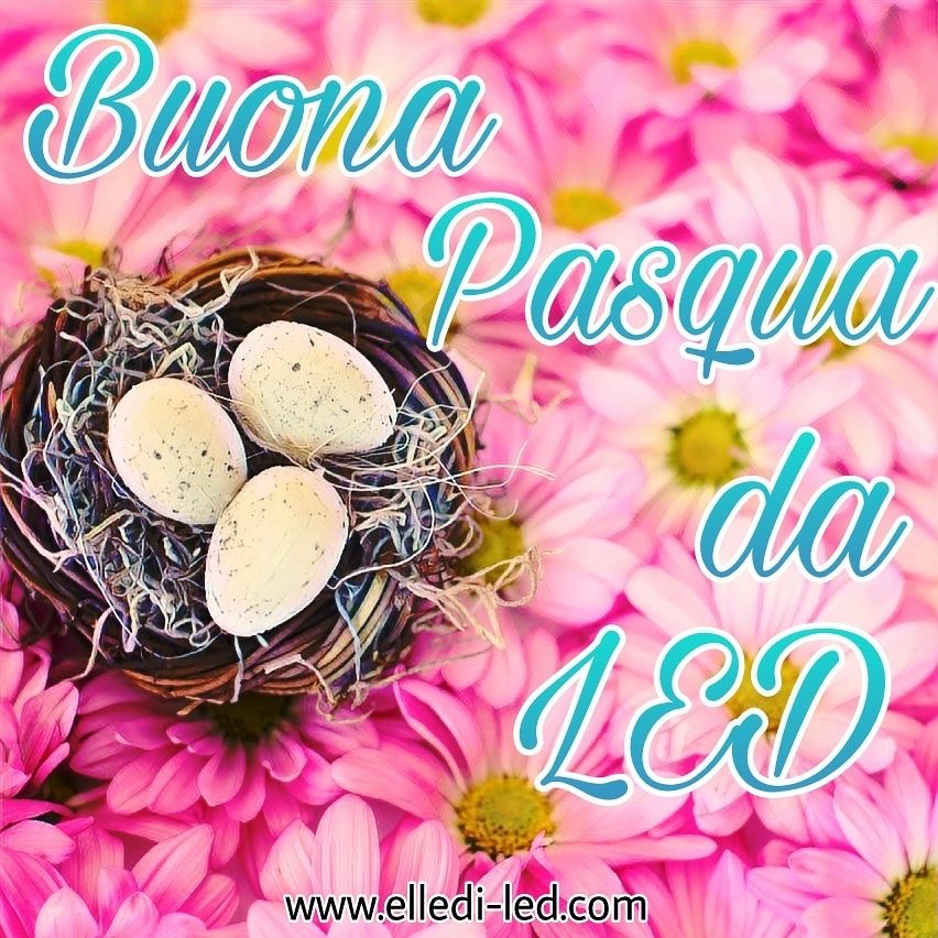 ellediLED's tweet image. Auguri a tutti! Che questa Pasqua porti più pace e serenità a tutti voi! 🐣🥚♥️ #pasqua #pasqua2019 #buonapasqua #led #ellediled #editing