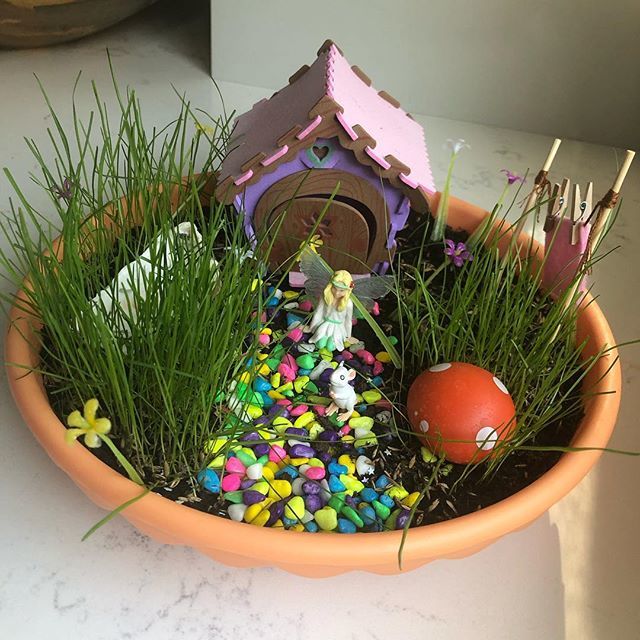 🧚‍♀️ Still loving all things Fairy with @myfairygardenuk 🧚🏼‍♂️ I think it’s time to cut that grass. Not sure how long it’s meant to be 🤔 bit.ly/2Zpq0Zx