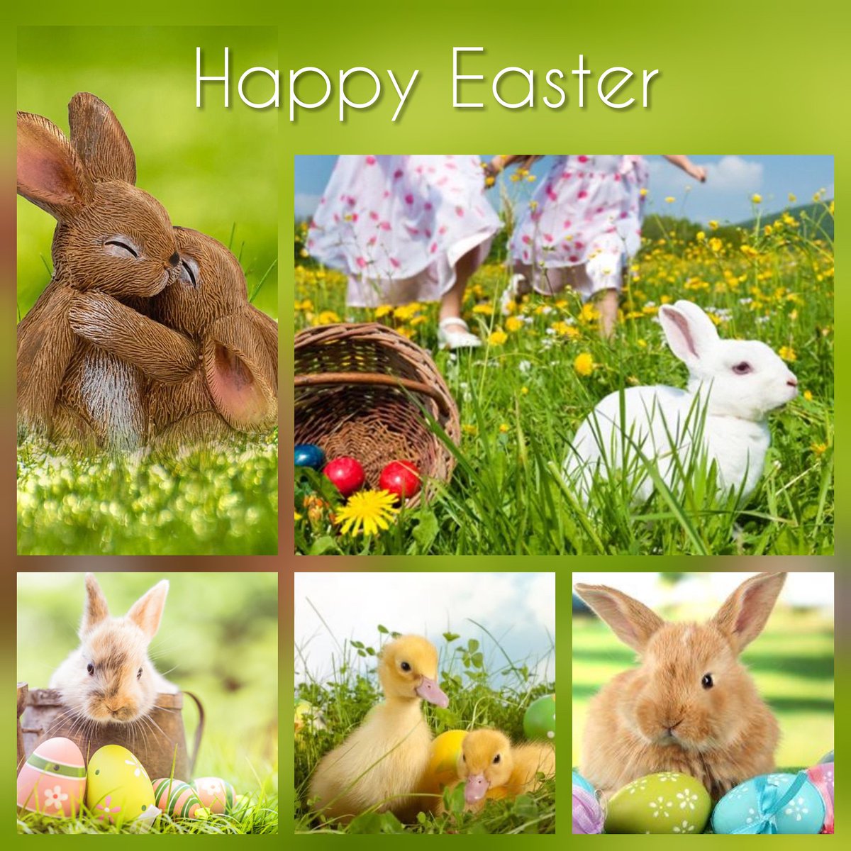 ValledelSoleC's tweet photo. 🐇🌴🐣🌴🐇🌴🐣🌴🐇🌴🐣 https://t.co/ICoPGRf9Wa