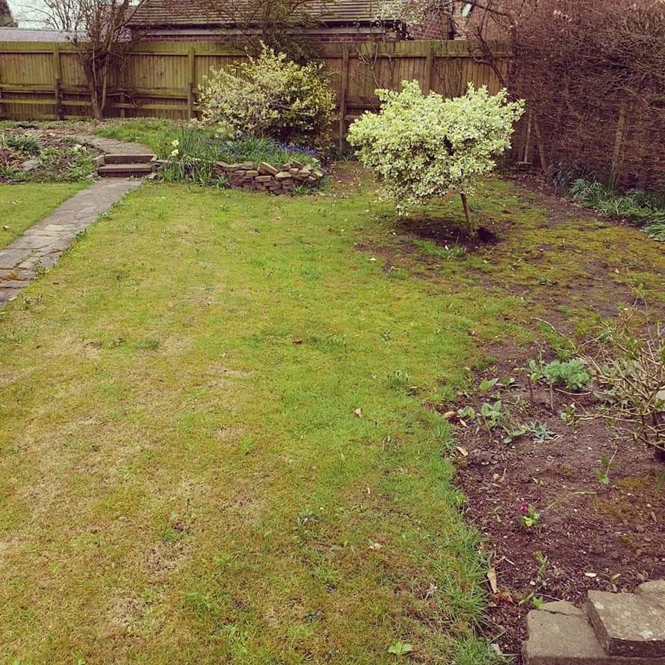lawncaredoctor's tweet photo. Have a look at this complete garden re-design which involved tree removal, wall removal and a fresh new lawn!

#lawncare #lawntreatment #leicestershire #turf #green #beforeandafter #garden #gardendesign https://t.co/9lMIxneA1E