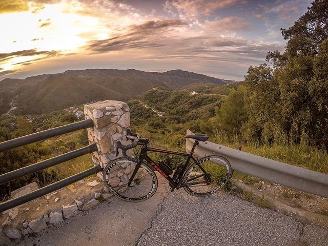 BunneysBikes's tweet photo. The daily mail lies! Team rider @nskatesphotography seems to be lapping up the sun training in Spain, not to mention climbing some serious elevation! Need an upgrade for your road bike? We can get you carbon goodies and wheels from your favourite brands,… https://t.co/6NXCmhy7t2 https://t.co/h0qB06fYfg