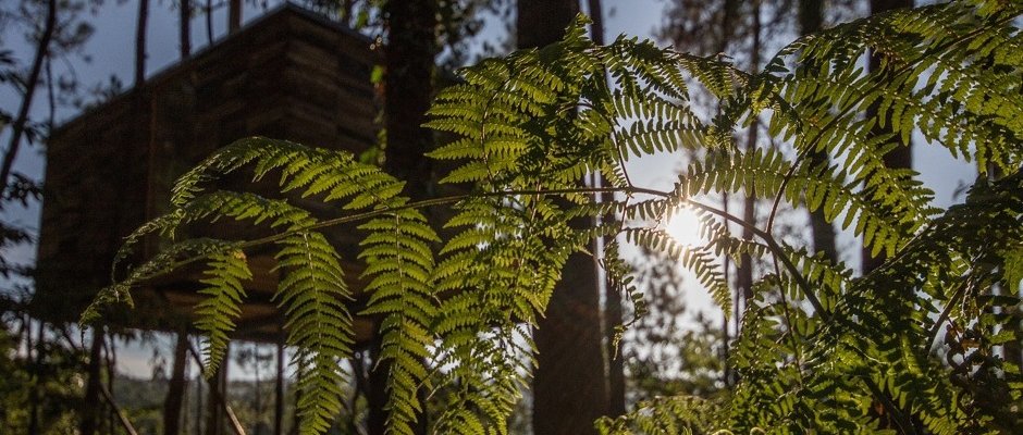 Cristina Ramos tweet media