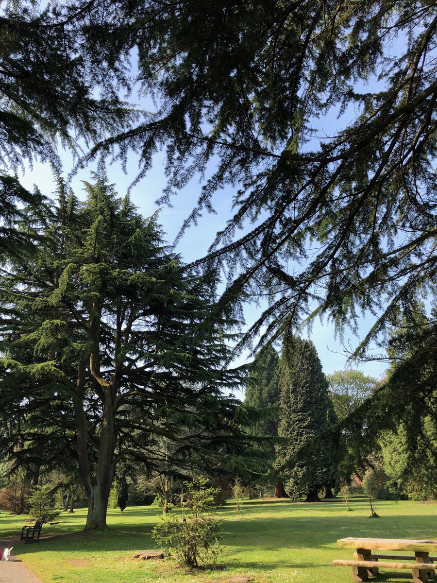 Easter morning in the Ormeau Park #Belfast