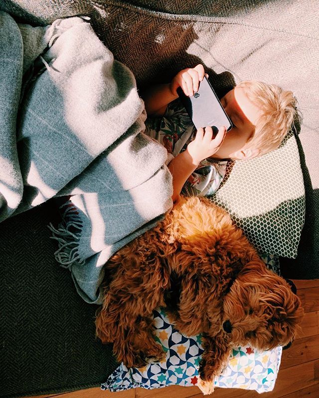 craigdfreeman's tweet photo. My lovely boys
👦🏼
🐶
💕
#aboyandhisdog #morning #family #dadscomm #dadsofinstagram #dadlife #dadtribe #parenting #ramblingdad #magicofchildhood #childhoodunplugged #letthembelittle #littlefierceones #myhappycapture #jj_vscokids #letchildrenbechildren #candidchildhood #pixel_ki… https://t.co/gd3X0gNBnN