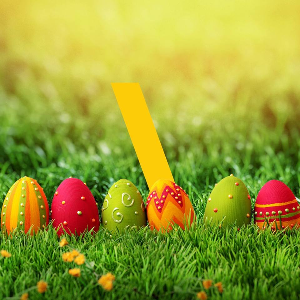 If you got chocolate eggs today, then some bunny loves you! Happy #Easter 🐰