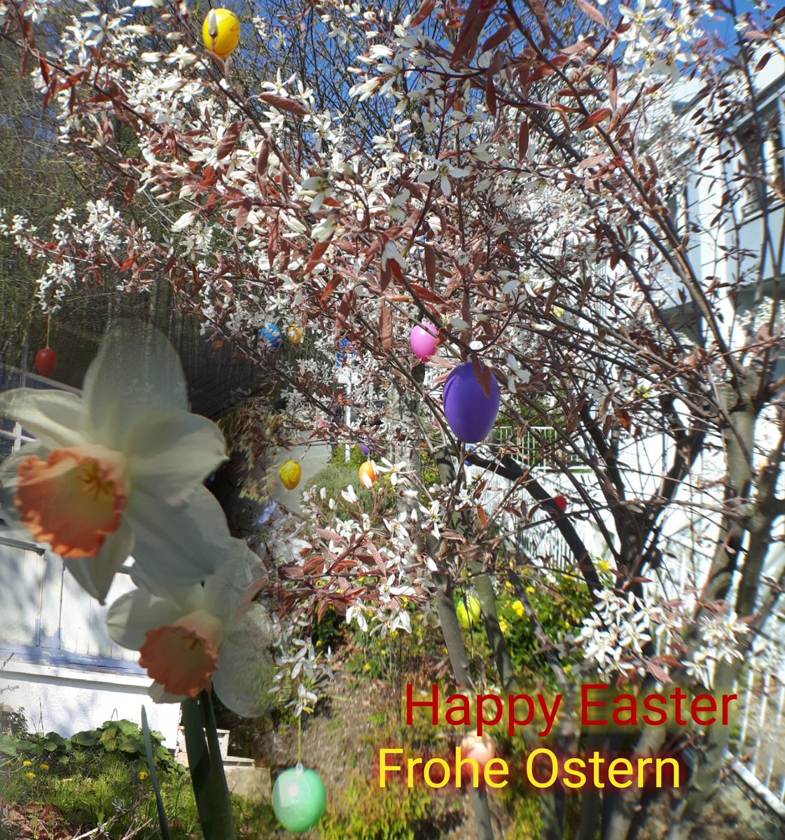 Happy Easter to all this wonderful people on our World. Wish you a nice Day with Family,  Friends and your loved Peoples. Enjoy,  Relax and take care for yourself,  you are worthy and loved.
<a href="/LyricGirl_LV/">Santy</a> <a href="/AshaVelani/">a5h</a> <a href="/Osvaldo35109816/">Osvaldo</a> <a href="/phoenix078/">phoenix078</a> <a href="/liga_tweet/">Liga</a> @VeganDoe @DanaC_
