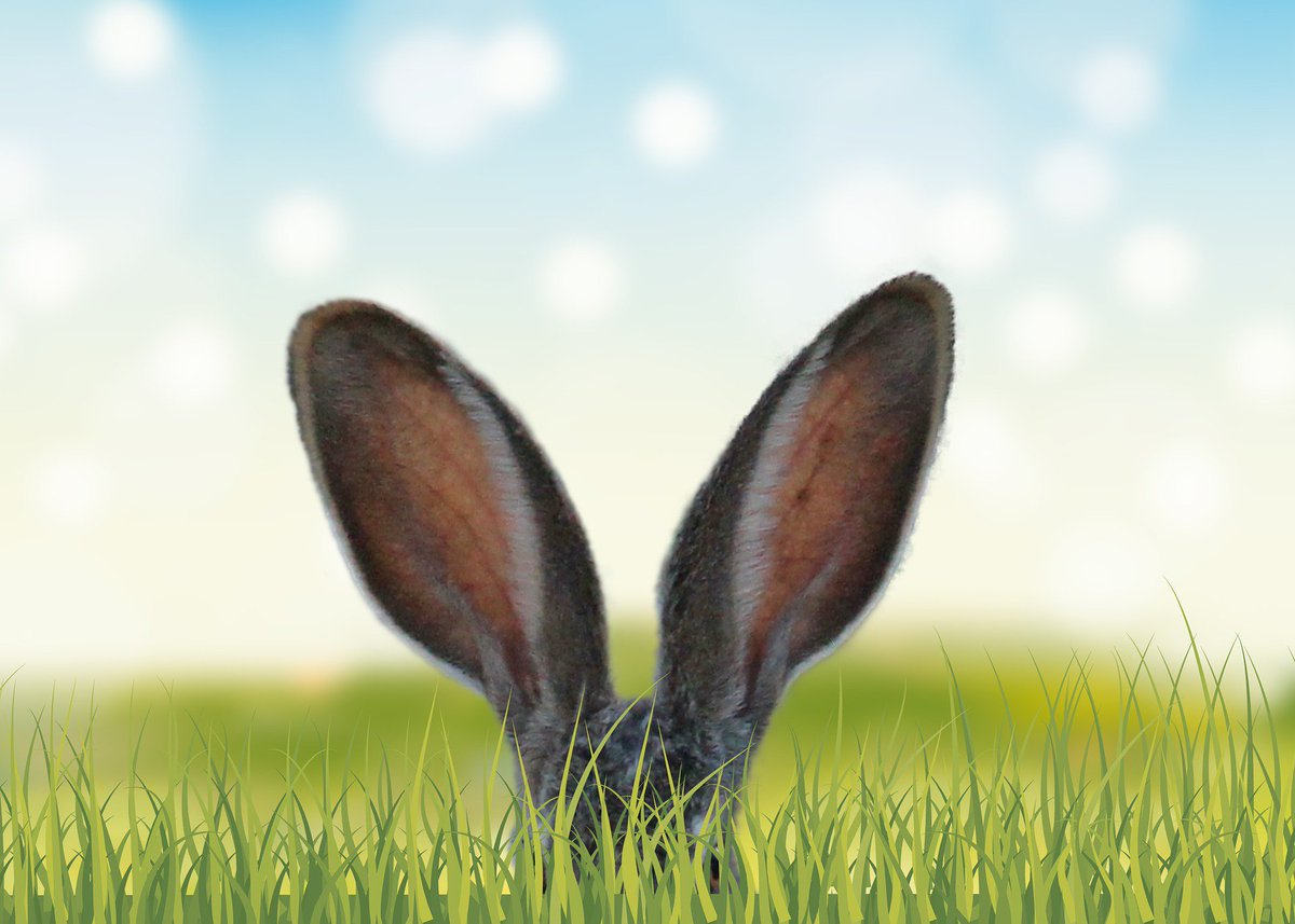 SellaVend's tweet photo. Happy Easter everybody! 🐰 👒

We "hop" you're all having an "egg-cellent" time! 😊😂😬

#HappyEaster #EasterSunday https://t.co/FKcQB1FIlh