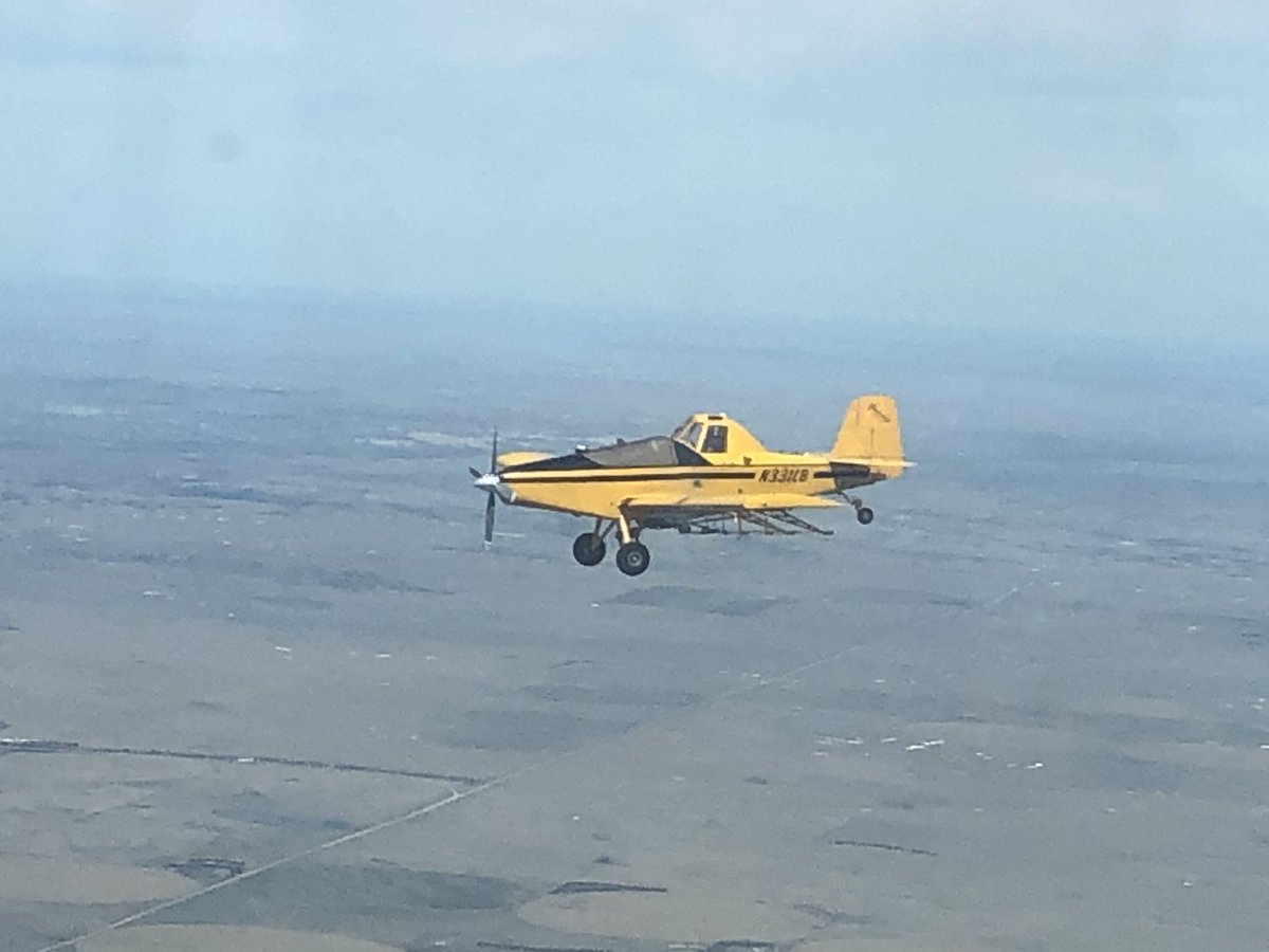 airsprayers's tweet image. Got the girl back from the shop and started spraying right away yesterday! “game on”