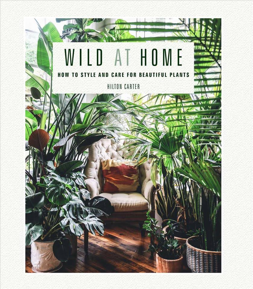 The Joy of Plants (@thejoyofplants) on Twitter photo Wild at Home by <a href="/hiltoncarter/">Hilton Carter</a> is essential reading for every urban jungle fanatic; filled with useful styling and care tips. Wild at Home by <a href="/hiltoncarter/">Hilton Carter</a> is essential reading for every urban jungle fanatic; filled with useful styling and care tips.