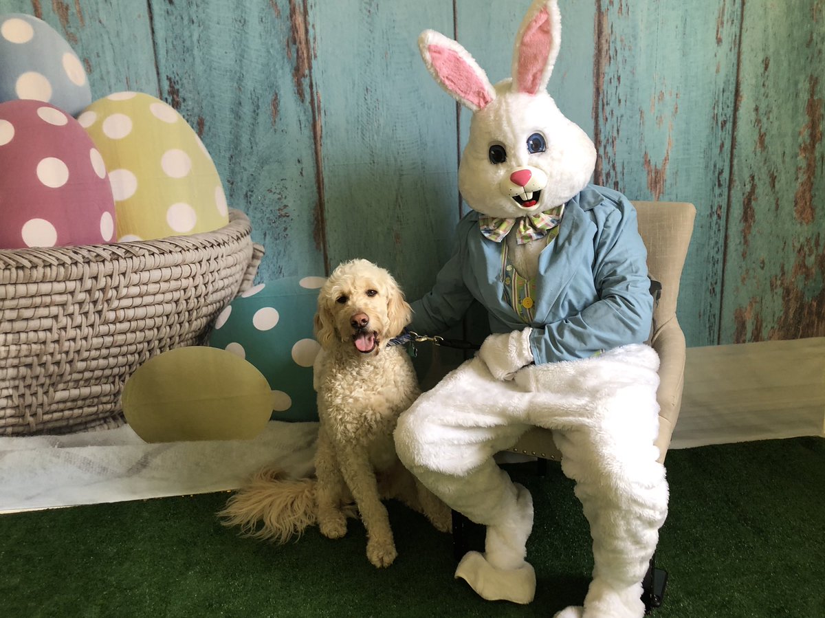 Lauren Gerard tweet media