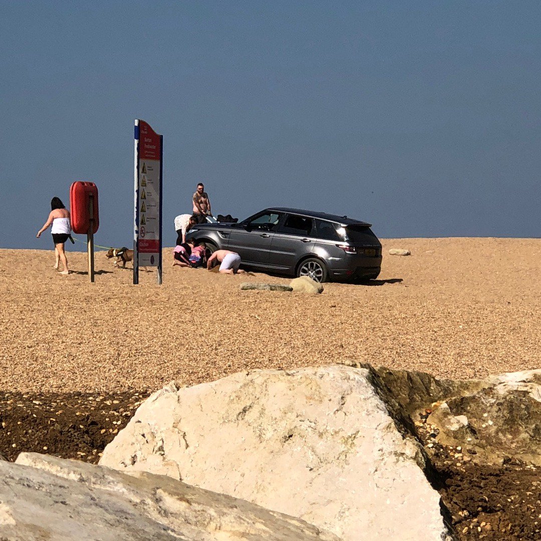 Freshwater Beach tweet media