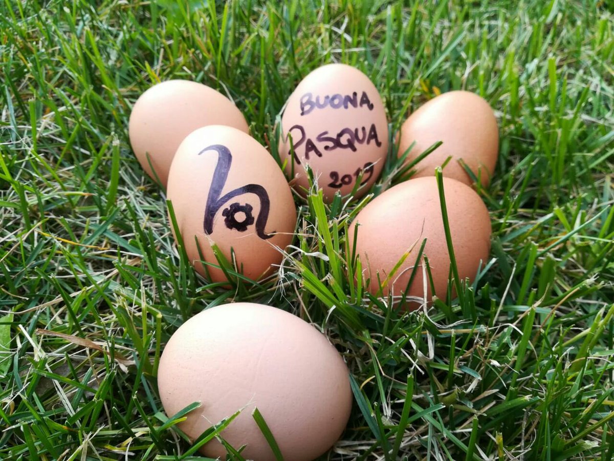 HackPoliTo's tweet image. Auguriamo a tutti voi una buona Pasqua 🐣
#PoliTo #politecnicoditorino #teamhackability #hackability  #dimeas #turin #design #design4all #togetherisbetter #TecDi #designforall #accessibility
