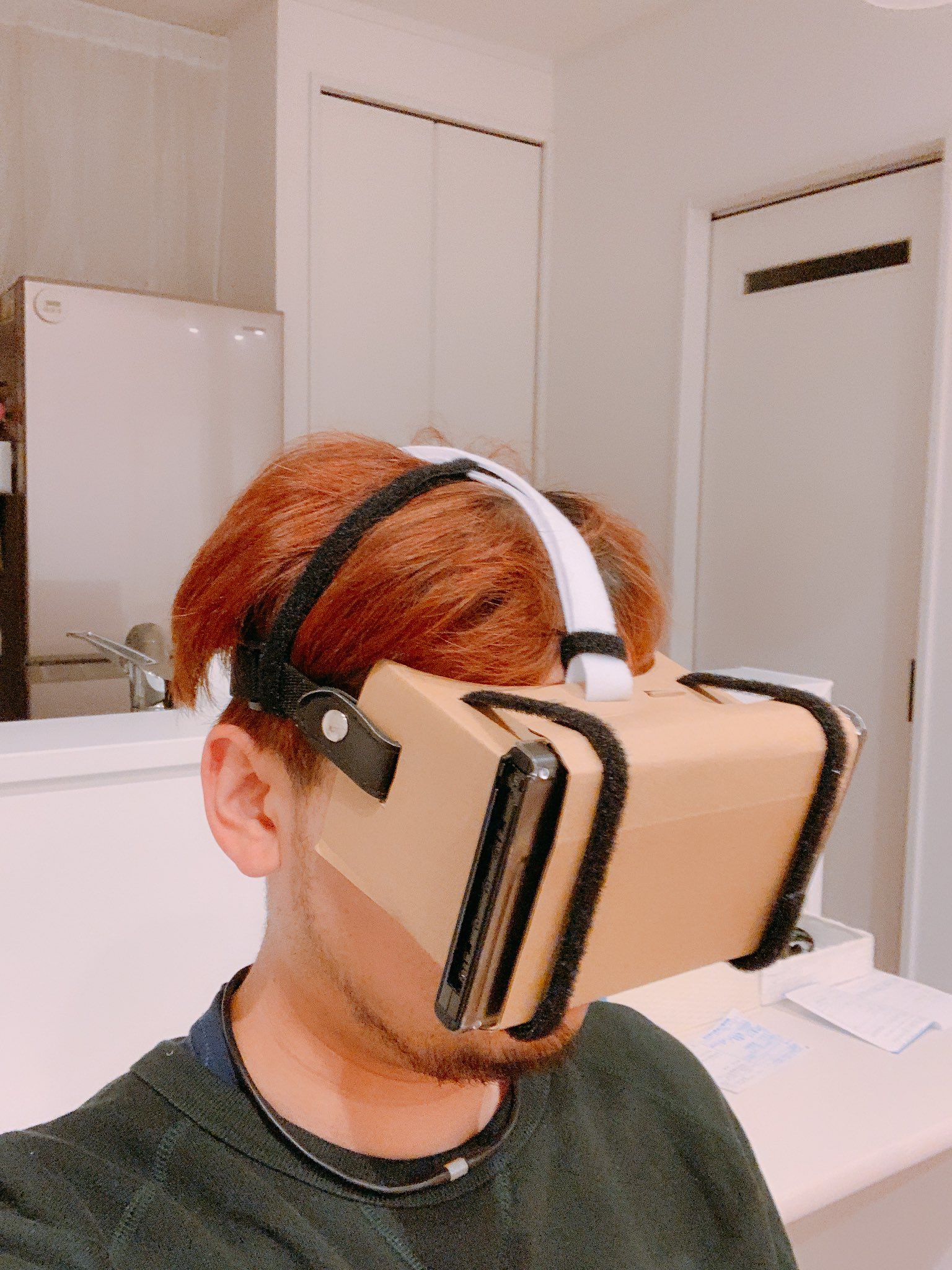 Sui Sei スクリーンクルー セリアのvrゴーグル ハコスコ が加工すればニンテンドースイッチ に使えるという情報を元にベルクロを駆使した結果 手放しでvr体験が出来るようになった しかし手作りなためにイビツである 制作費は424円 4月26日のアプデ