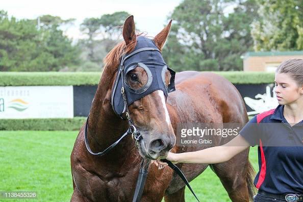 Yargi Racing tweet media