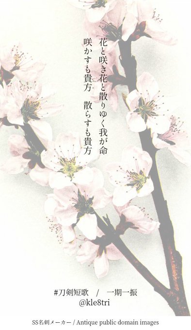 刀剣短歌桜企画のtwitterイラスト検索結果