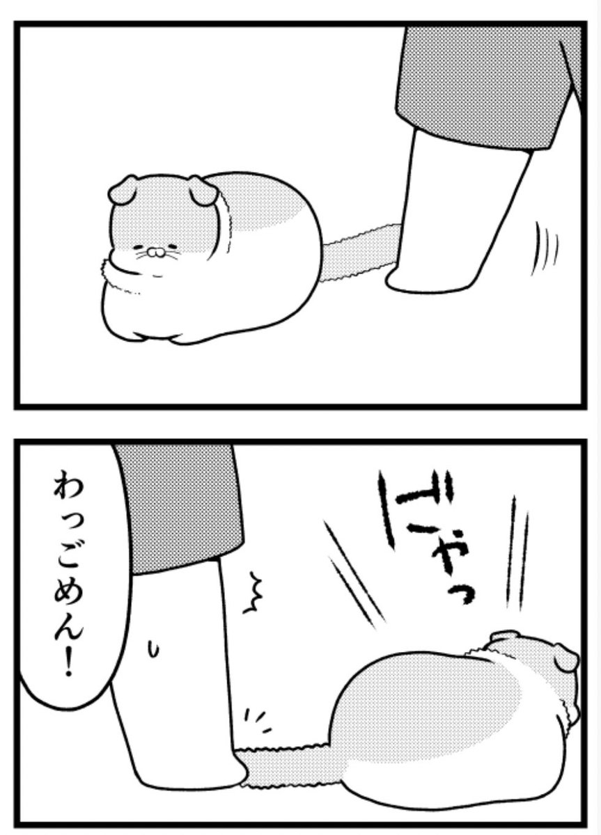 猫のきにゃと、ごとうさん(211) 詫びガニ  #マイナビニュース 