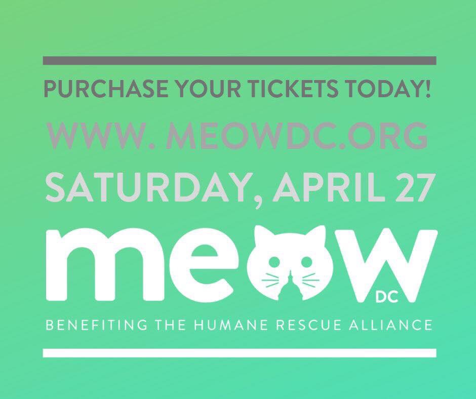 MeatMe will be exhibiting on April 27th at Meow DC at Dock 5, <a href="/UnionMarketDC/">Union Market District</a>. The event benefiting the <a href="/HumaneRescue/">Humane Rescue</a> alliance brings together cat related items for purchase, cats for adoption, demonstrations and more! #MeowDC