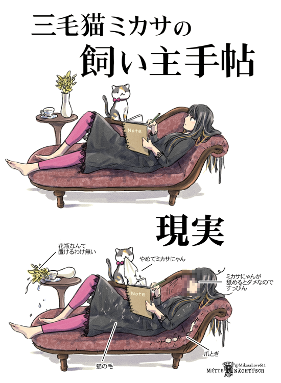 この度ねこナビ様のお誘いで(https://t.co/T4hQ3gZT8i)にてミカサにゃんと過ごす日々の発見を綴るブログを描かせて頂ける事になりました(*^^*)
猫初心者+猫アレルギー+元猫恐怖症という斬新な飼い主の目線だからこそお伝え出来ることがあれば良いなと思っております
何卒宜しくお願い致します! 