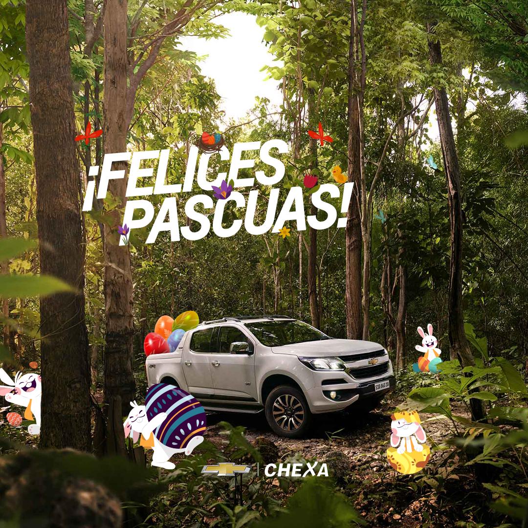Chexa_Chevrolet's tweet photo. ¡Desde Chexa les deseamos #FelicesPascuas 🐰 y un excelente domingo! https://t.co/bLcjxM8LDq