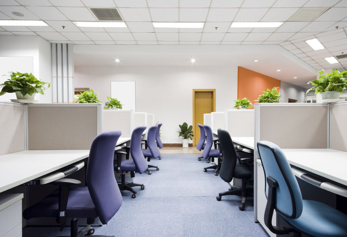 msrservicesau's tweet image. Every office needs constant TLC, ongoing repairs and maintenance, mopping and cleaning, bathroom restocking and waste removal. Deal with one company, one high standard, one reliable point of contact, one invoice - Call 1300 064 355 or visit buff.ly/2JHsHOG