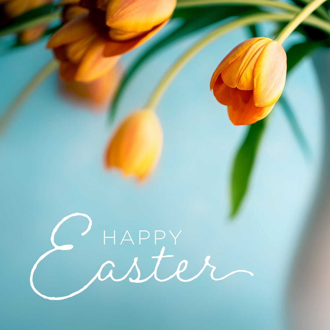 KMKCapital's tweet photo. Happy Easter! https://t.co/LKPREZ7iyj