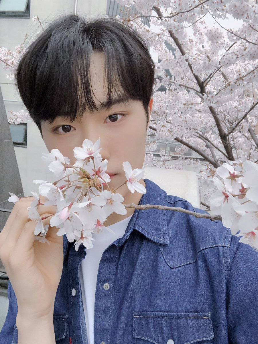 CIX_Official tweet media