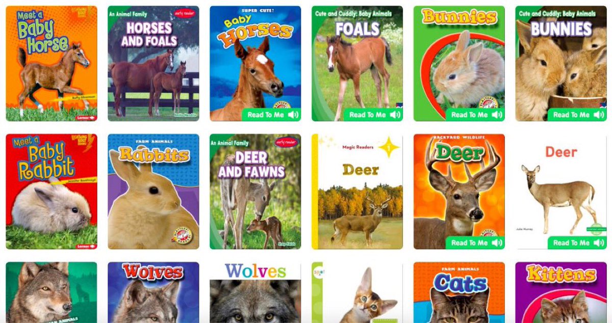 Malchow1stgrade's tweet photo. Hey #Kindergarten &amp; #1stgrade Ts- is your class embarking on an animal research project? 🐋🐿🦅🐈 Check out my @EpicKidsBooks collection. Includes 2 read-on-your-own &amp; 2 read-to-me books for each animal at easier reading levels. https://t.co/OtKppOa9Wj… #Kinderchat #k2cantoo https://t.co/2n7ctx1QHk