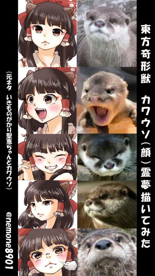 壬星ねもね 乳がん闘病同人作家 カワウソ憑依でカワウソ顔になった霊夢ちゃんかわいい 5枚ちゃんと描き下ろしたから褒めて 博麗霊夢 東方奇形獣