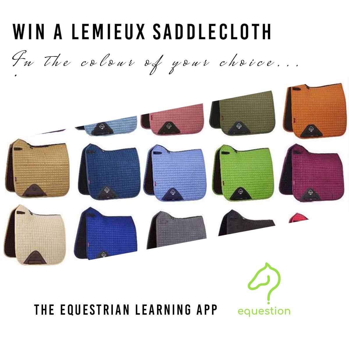 Think you know horses? Check out the Equestion challenge over on our Facebook Page! facebook.com/equestionapp. #ponyhour #HorseChatHour #horseandrider #equineapp #equine #horseapp #horses #CompetitionTime