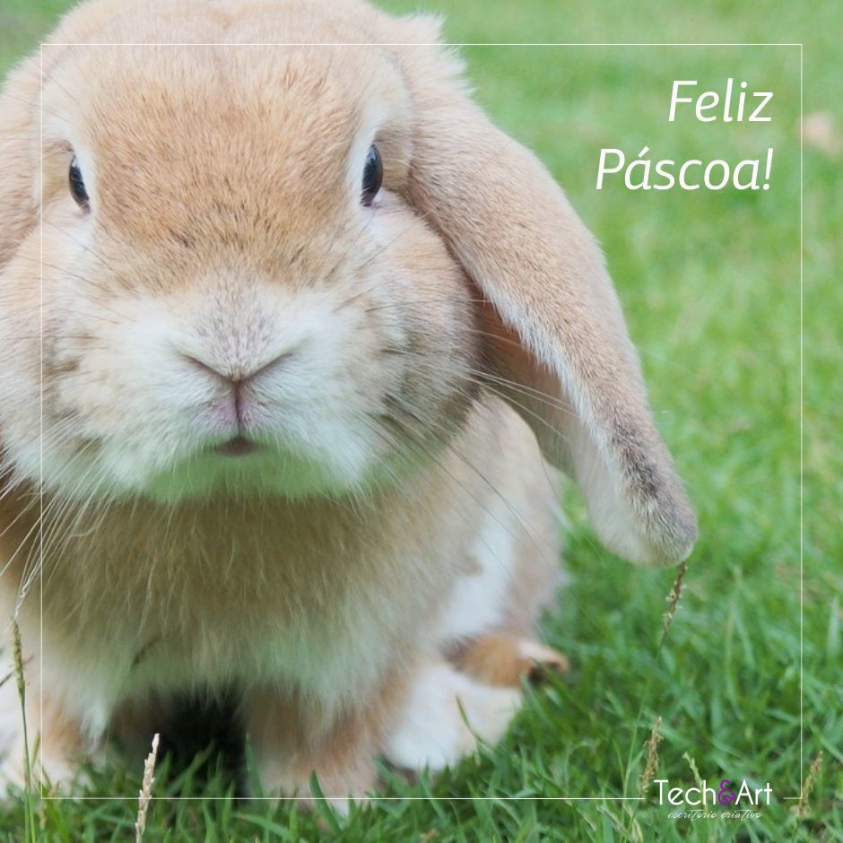 Techeart's tweet photo. Que a visita do coelhinho, encante e una sua família hoje e sempre!

🐰Desejamos à todos os clientes e amigos, uma Feliz Páscoa! 🐰

#logo #logomarca #logotype #curitiba #cwb #vancouver #bc #socialmedia #websites #artdesign #webdeveloper #worldcode #website #webdesign #web https://t.co/dOh1lId4rh