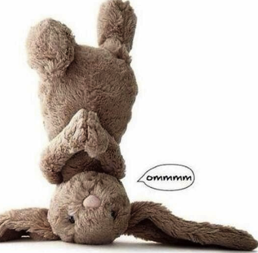 Happy Easter!  Follow the bunny - he has chocolate! :-)  We have our normal class schedule today.  After the long day of egg hunting, join us tonight at 7:30pm for Yin with Jess.