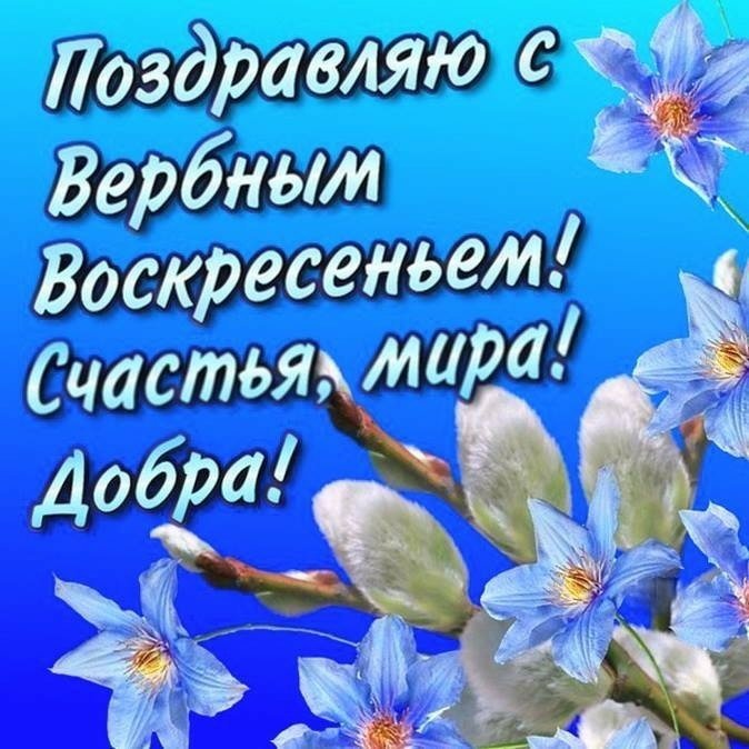 С вербным воскресенье открытка, открытки