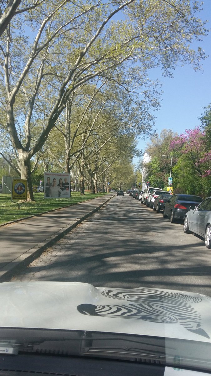 PariLipperts's tweet image. Driving around in #Ketsch yesterday after #trading , and today in #Mannheim to #lunch w/ #friends #Germany