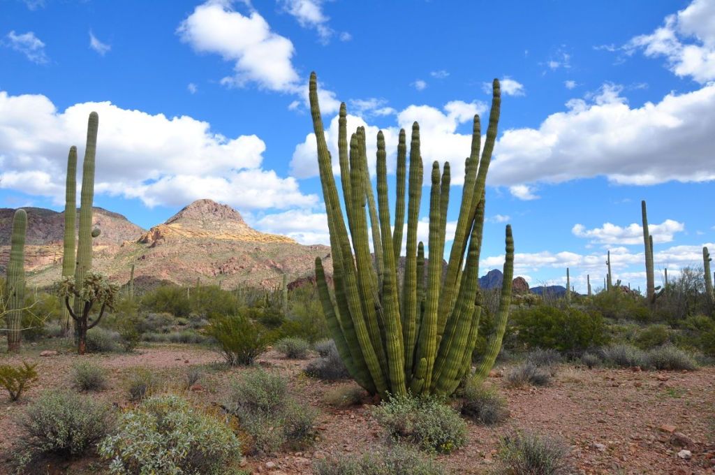 evolvingescapad's tweet image. One Year Anniversary of Full Time RVing evolvingescapades.com/simplify-life/…