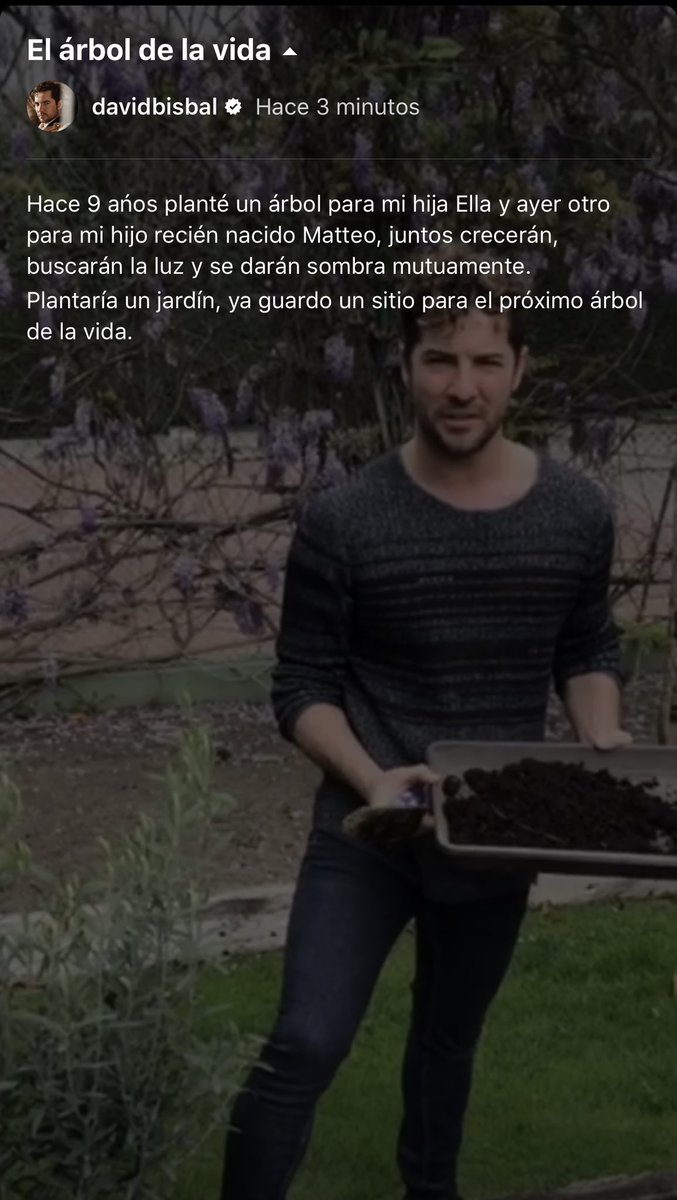 davidbisbal's tweet photo. El árbol de la vida! https://t.co/HWJX5ewtQq