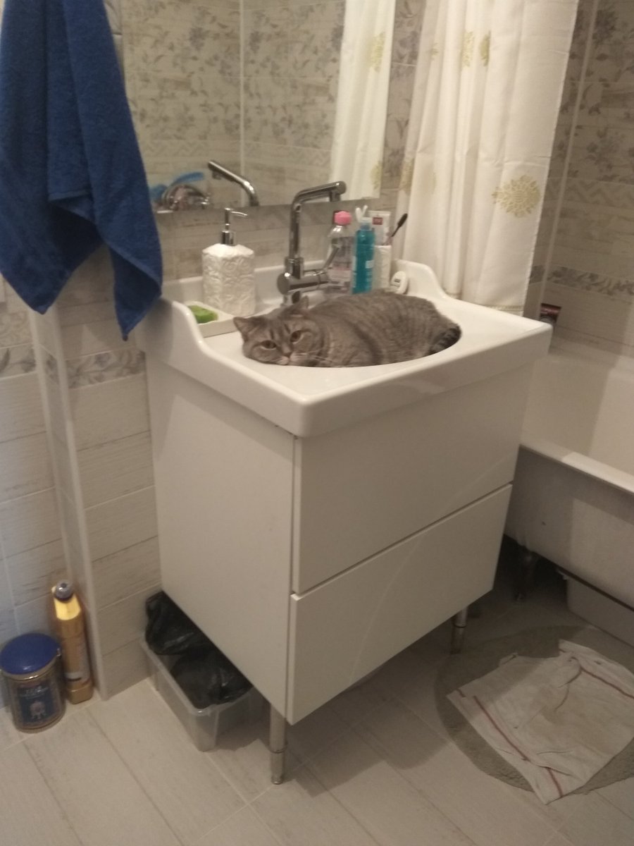 torribo_art's tweet image. Мама затащила меня в гости к друзьям, и я искал место, где спрятаться от людей. Зашёл в ванную и понял, что здесь я и останусь.