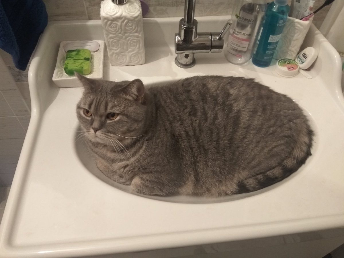 torribo_art's tweet image. Мама затащила меня в гости к друзьям, и я искал место, где спрятаться от людей. Зашёл в ванную и понял, что здесь я и останусь.