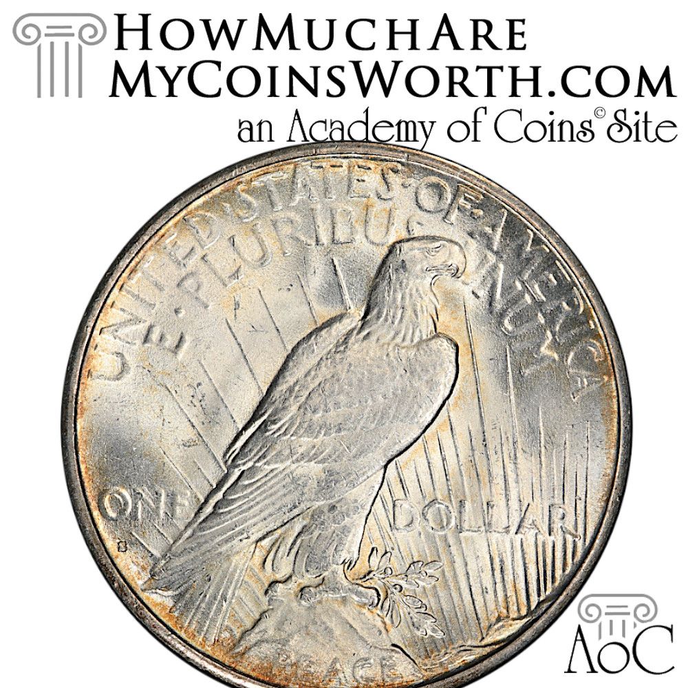 hmamcw's tweet photo. Happy Easter!

Your #WeeklyCoin:
1935-S Peace Dollar
Recently sold for $480

You voted more for this '35-S Peace. This is a cool coin, clean and frosty, but lacking detail from weak strike. Luster looks strong. Thanks for voting!

 #silverdollar https://t.co/SPoHOPmFDe
